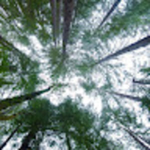 Meet your Posher, Felix